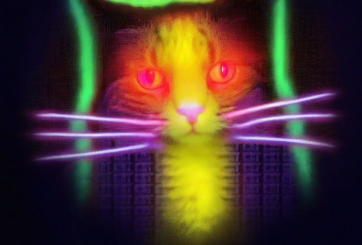  cats quantum technical architecture designed artwork evolving 