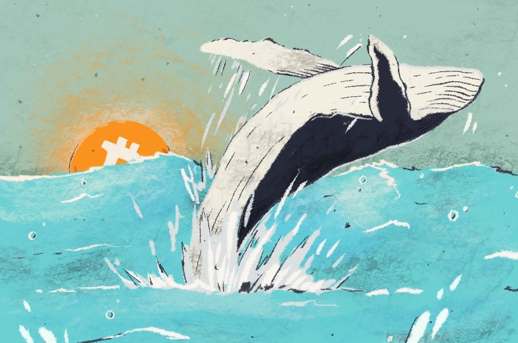 BTC Whale With Links To Well-Known Exchange May Have Triggered Bitcoin Price Drop