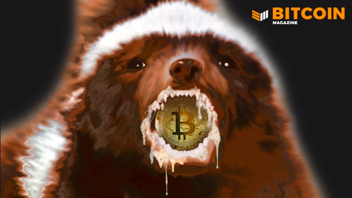 Despite The Price, Great Things Are Happening In The Bitcoin Ecosystem thumbnail