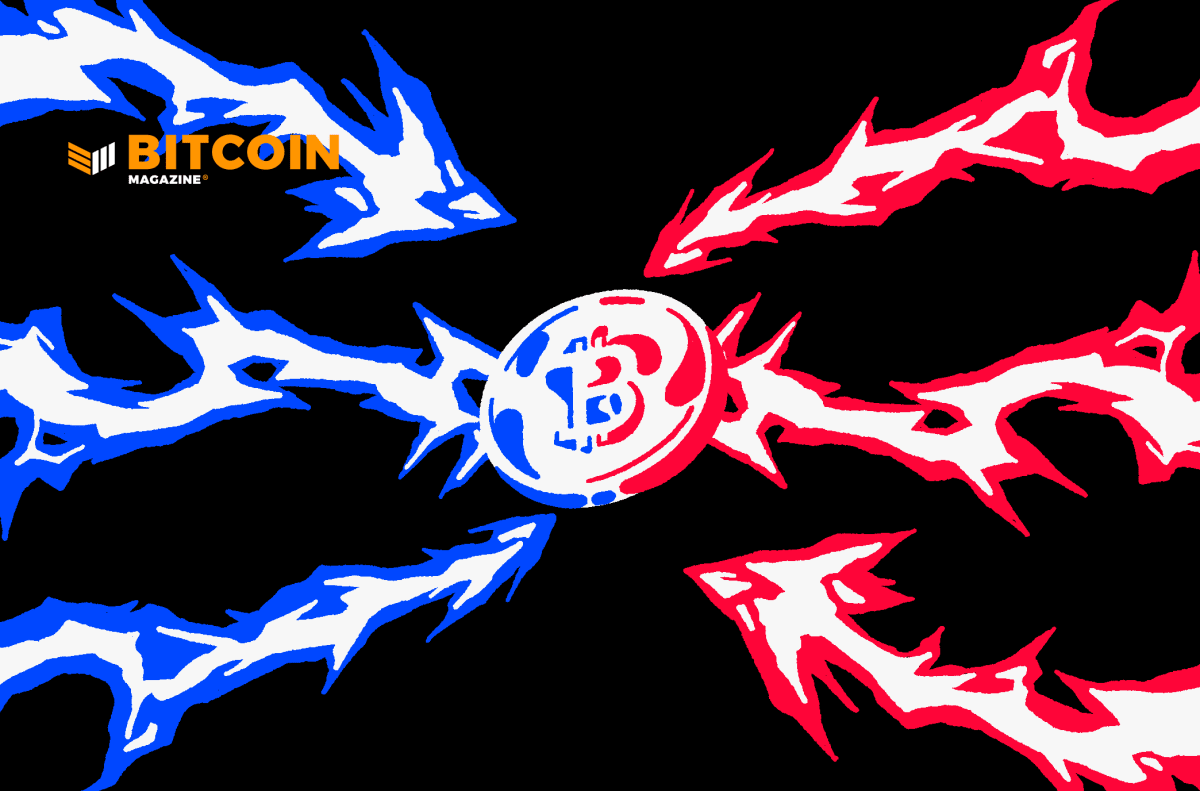 Baseball Club Perth Heat To Enhance Fan Experience With Lightning Network thumbnail