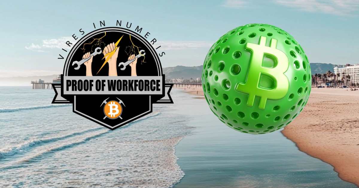 ‘PickleBit’: Proof of Work, Fold and Pickle Pop Tournament Partner Pickleball Offer Bitcoin Prize Pool