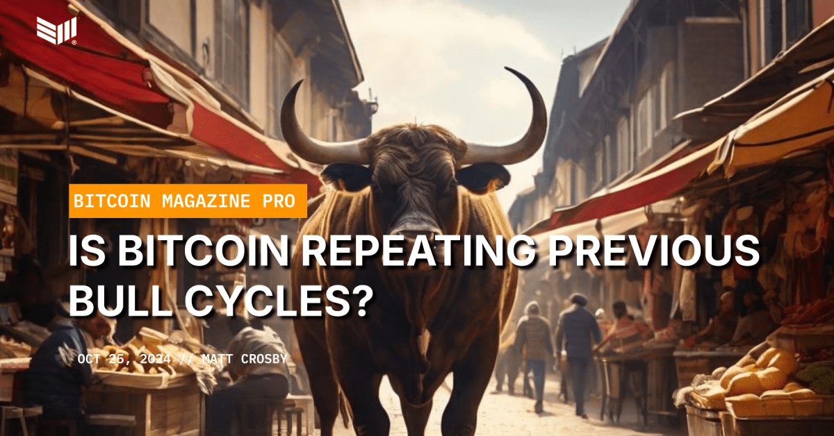 Is Bitcoin Repeating Previous Bull Cycles?