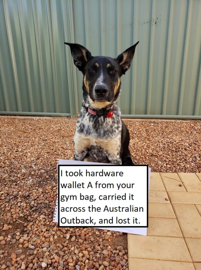the bitcoin dog dug up your keys