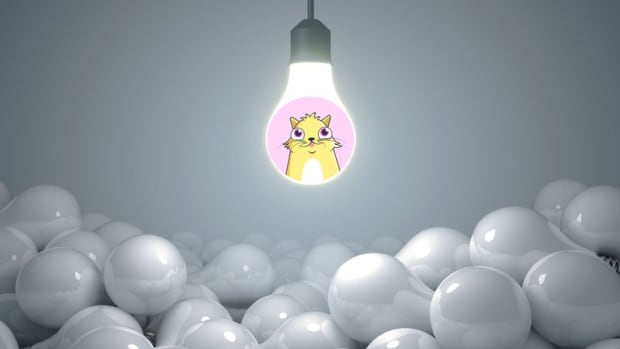 - How a Hackathon Birthed the CryptoKitties Origin Story