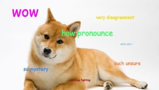 Op-ed - DogeParty: Calling All Shibes