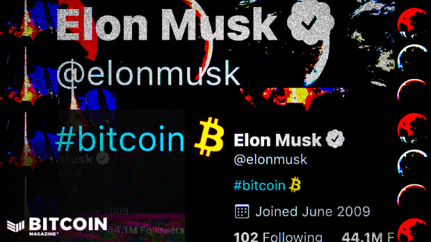 After Elon Musk, the richest person in the world, changed his Twitter bio to “bitcoin,” attention and the price surged.