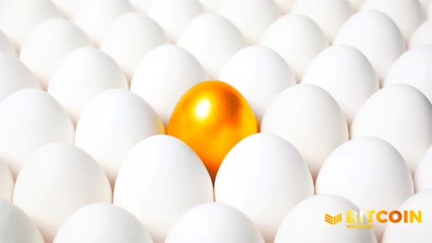 Golden egg, standing out, crowd, unique, gold