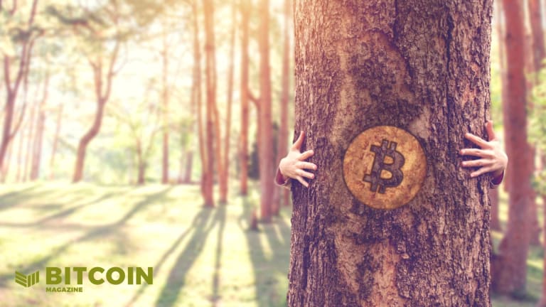 Bitcoin Is A Net Benefit To The Environment