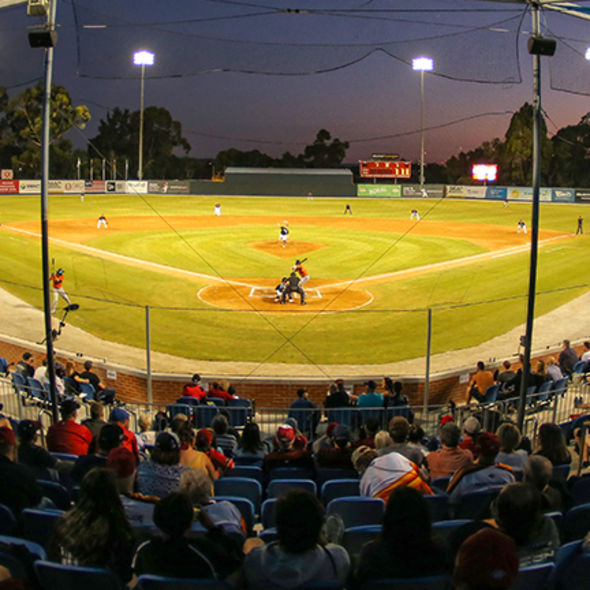 Jerseys merchandise - Perth Heat Baseball Club