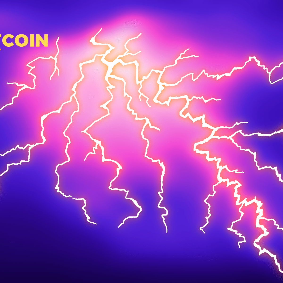 Wild At Northern Lightning Conference - Bitcoin Magazine - Bitcoin News,  Articles and Expert Insights