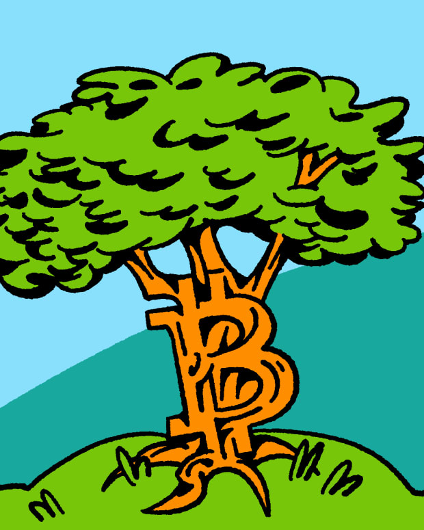 Bitcoin is a green technology that benefits our planet, the earth, and grows naturally like a tree in nature. top photo