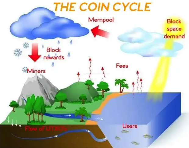 the-coin-cycle.png