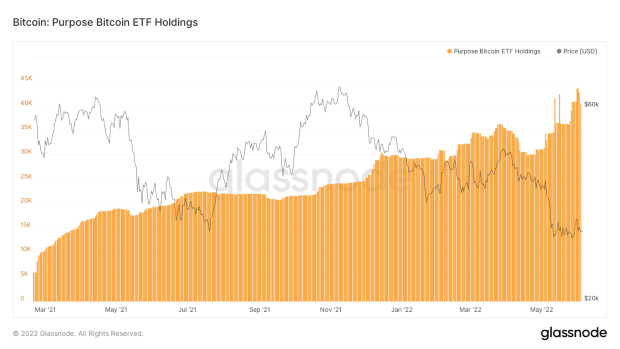 purpose-bitcoin-etf-holdings.png