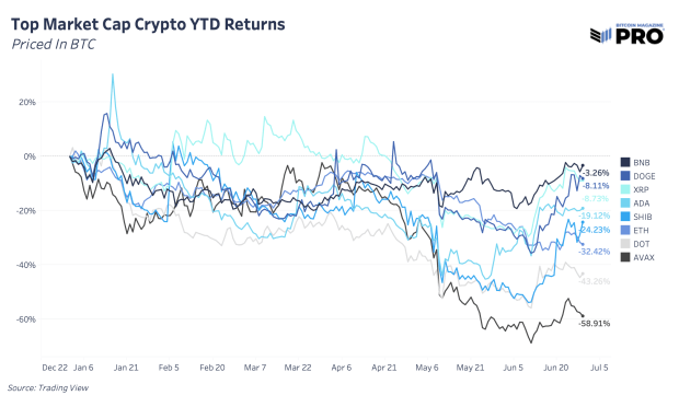 top-market-cap-crytpo-year-to-date-returns-2022.png