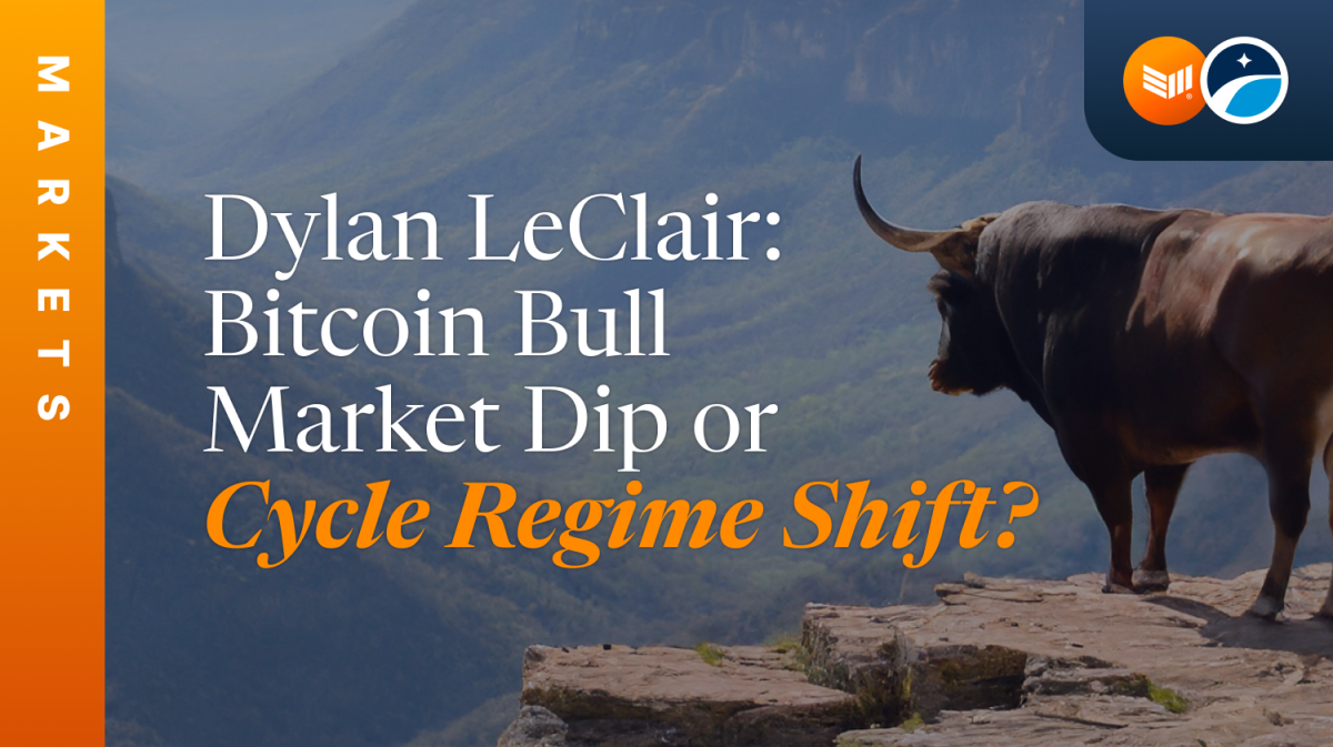 Dylan LeClair: Bitcoin Bull Market Dip or Cycle Regime Shift? thumbnail