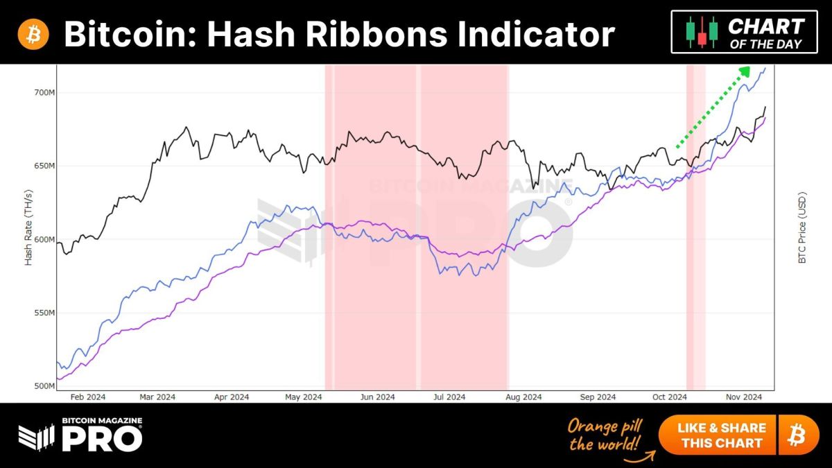 Bitcoin Hash Ribbons Indicator: Miners Show Unwavering Optimism as Hash Rate Hits New Highs