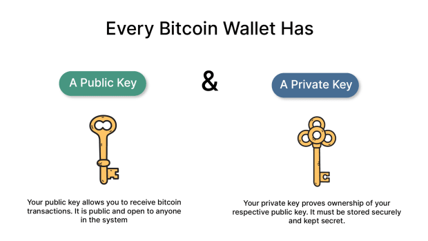 What is a Wallet? Guide to storing Bitcoin thumbnail