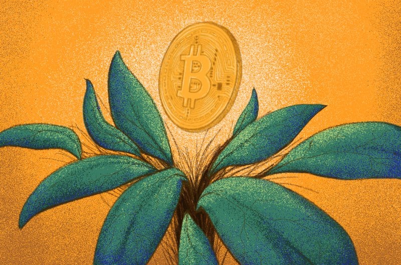 Genesis Digital Assets Raises $125 Million To Expand Bitcoin Mining Operations