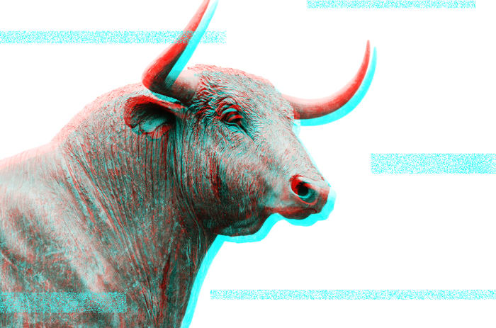 bull market bitcoin spring