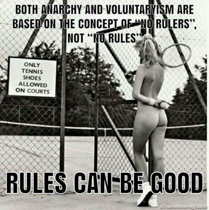 both anarchy and voluntarism are based on concept of no rulers