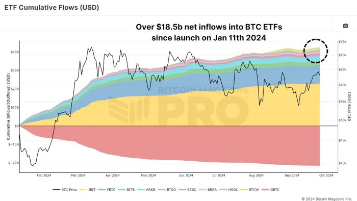 利用 ETF 数据最大化比特币收益