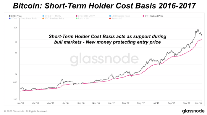 Examining the dynamics of short-term holders during bitcoin bull markets and bear markets.
