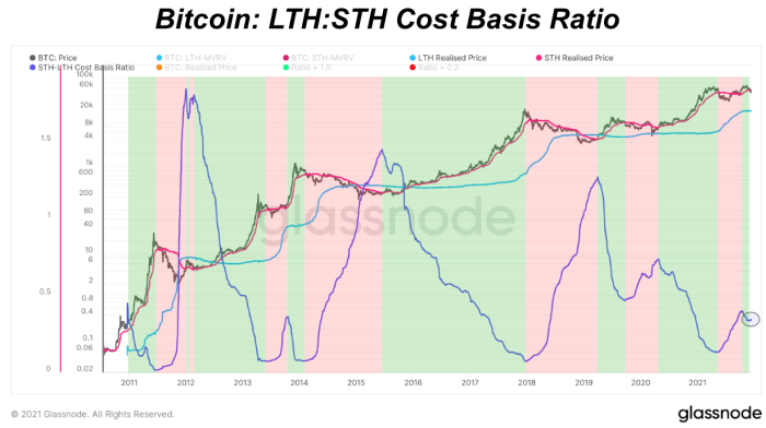 Kısa vadeli bitcoin sahiplerinin uzun vadeli bitcoin sahiplerine oranı bize piyasa hakkında ne söyleyebilir?