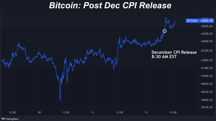 The U.S. CPI for December was released and this month could see peak dollar inflation. How will the bitcoin price reflect that?