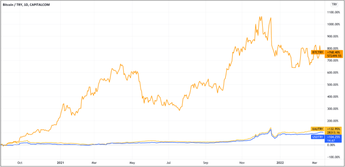 bitcoin trading view chart try