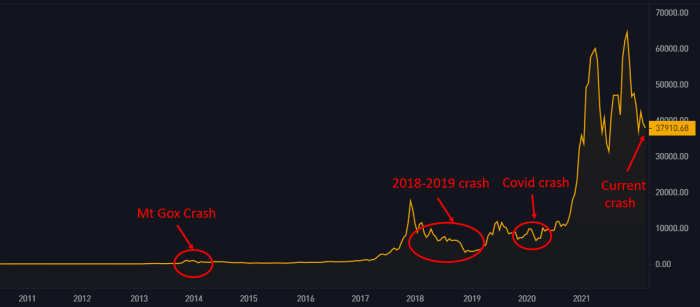 Bitcoin critics like to claim its failure every time there is a major price drawdown, but a true representation of the network proves otherwise.