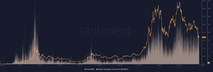 Social sentiment is often associated with bitcoin price and can snowball both up and down price movements.