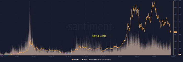 Social sentiment is often correlated to the price of bitcoin and can have a snowball effect on price movements, both up and down.