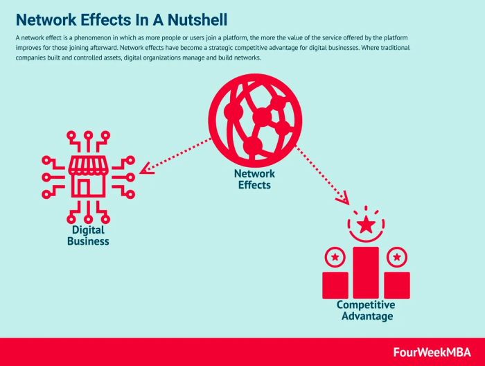 network effects in a nutshell four week m4a