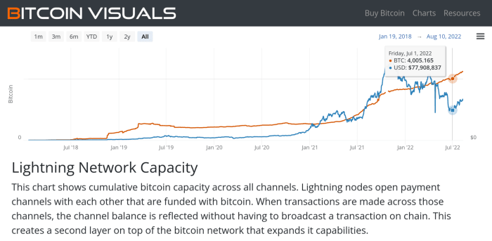 bitcoin visuals lightning network capacity