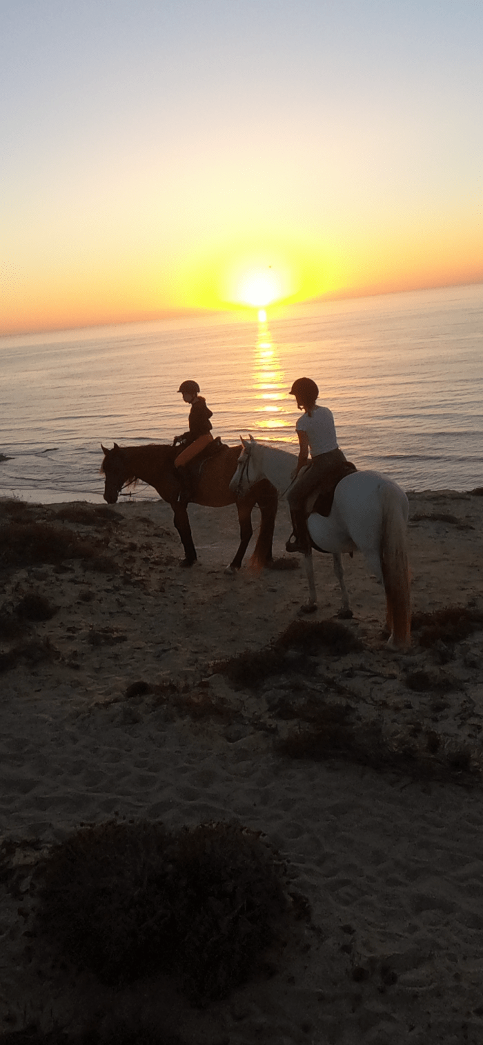 Horse riding holly young Portugal