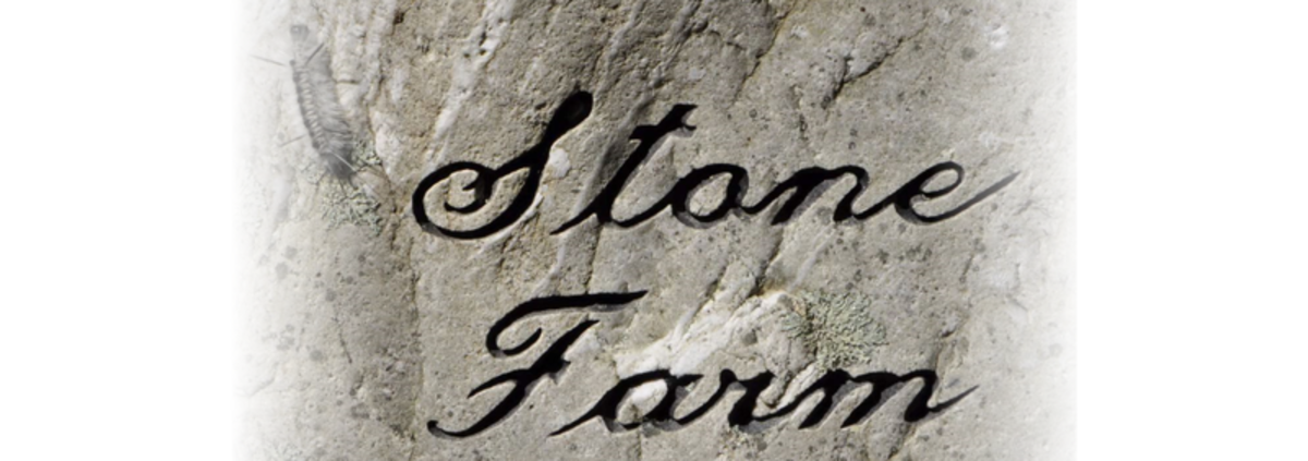 Op-ed - A Visit to Stone Farm