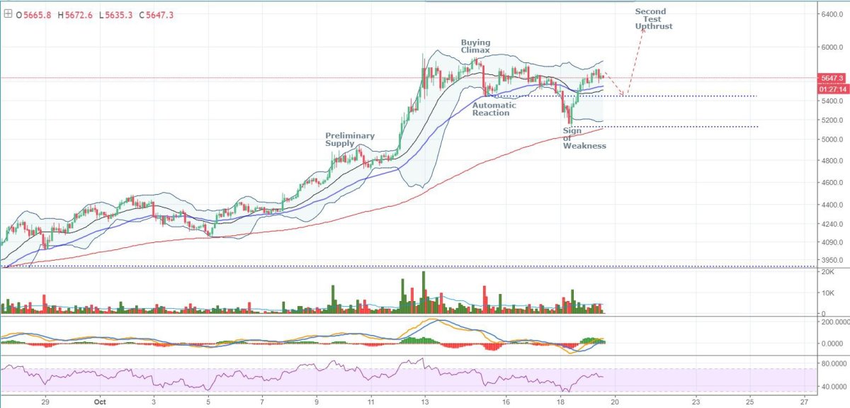 btc distribution reviews