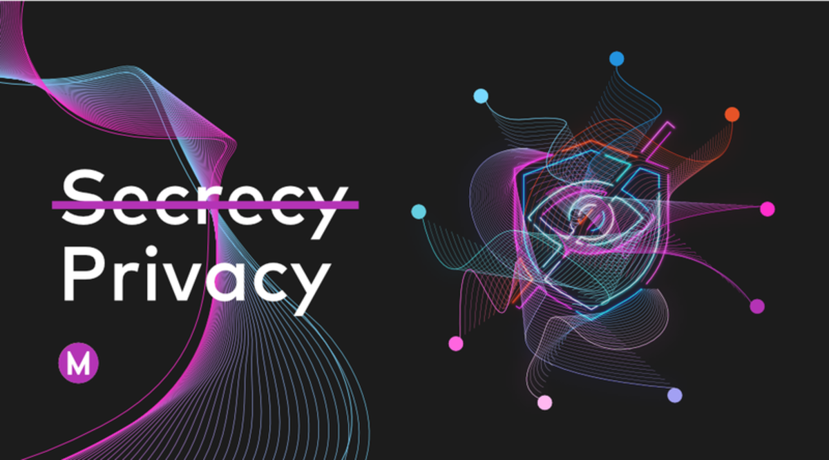 - Differentiating Between Privacy and Secrecy on the Blockchain