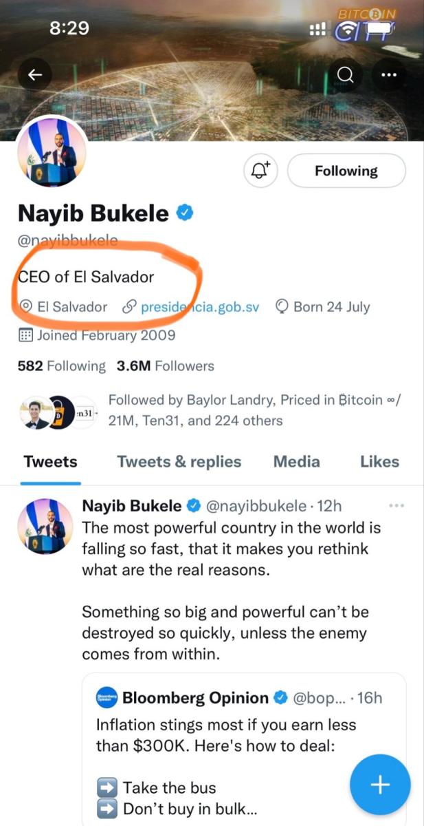 Nayib Bukele El Salvador ceo of