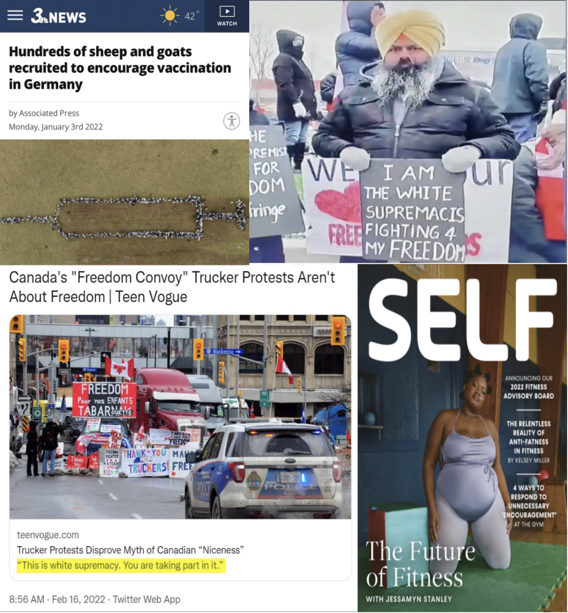 news collage of various woke sources