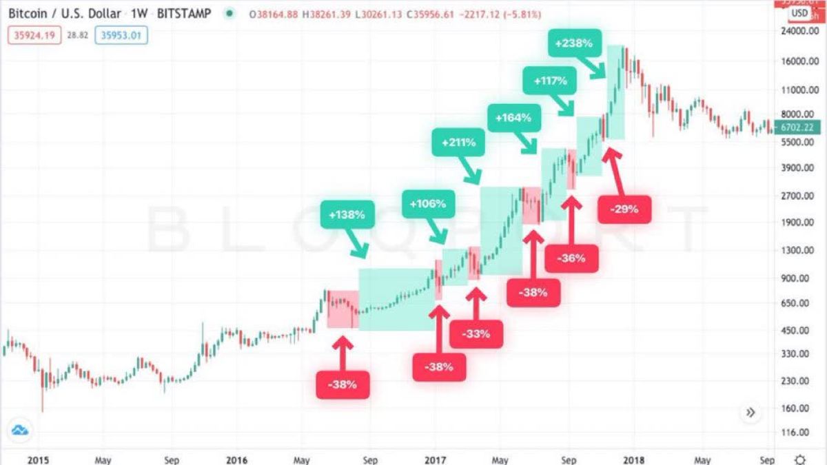 Bloqport Bitcoin 2017 bull run dips and rises