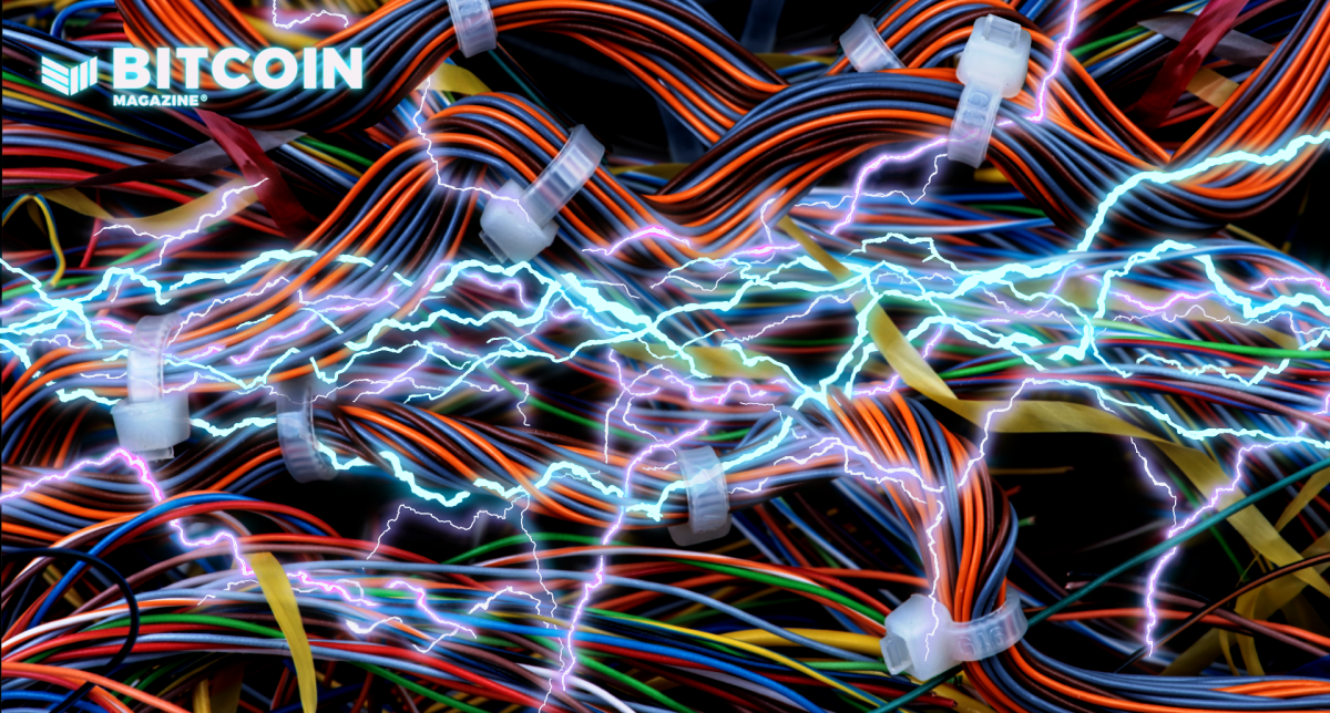 Lightning nodes connect the lightning network together, in a decentralized technology.