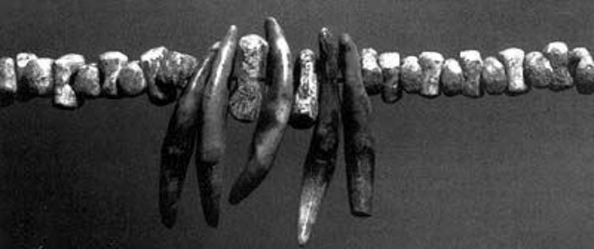 Detail of necklace from a burial at Sungir, Russia, 28,000 BP. Interlocking and interchangeable beads. Each mammoth ivory bead may have required one to two hours of labor to manufacture. 