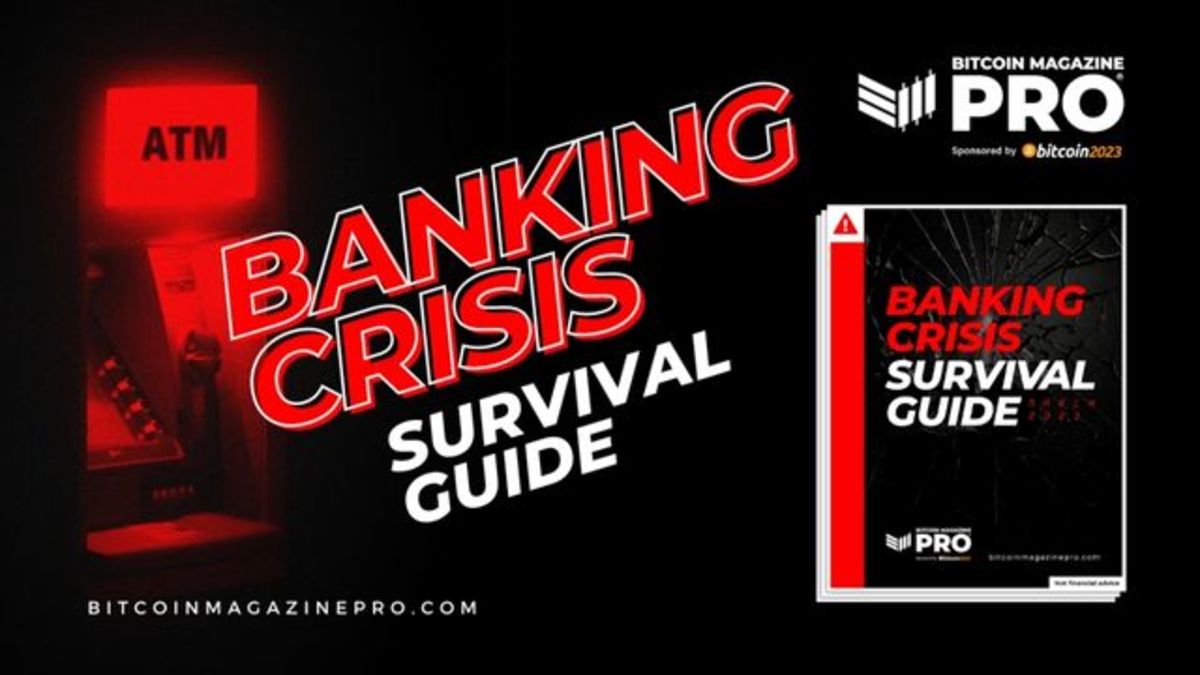banking crisis survival guide bitcoin