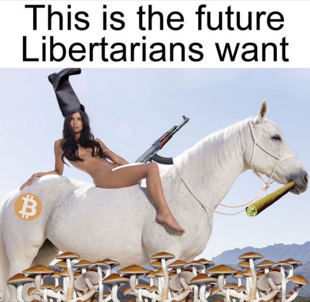 die Zukunft, die Libertäre wollen