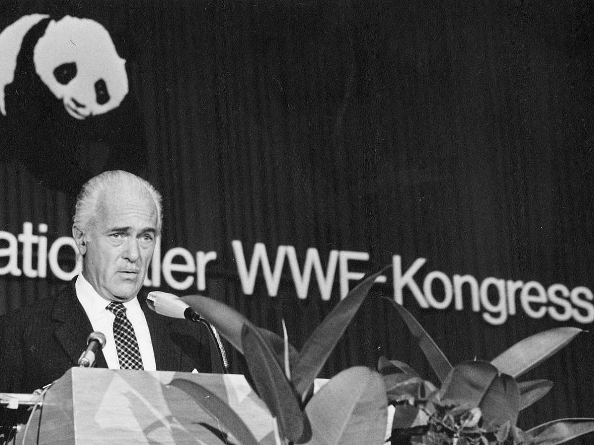 Aurelio Peccei astatine  the 3rd Annual WWF Congress successful  1973