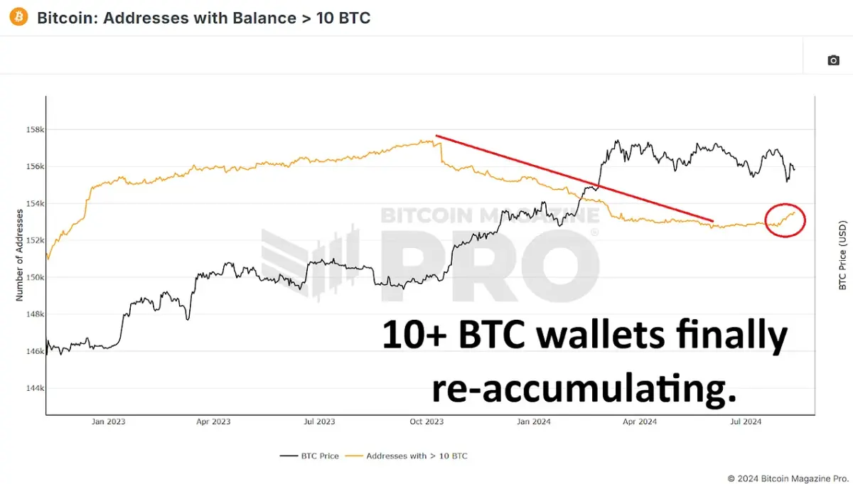  10+ BTC wallets have seen a rise in the last few weeks after a substantial decrease on our run-up to a new ATH. Access Live Chart 🔍