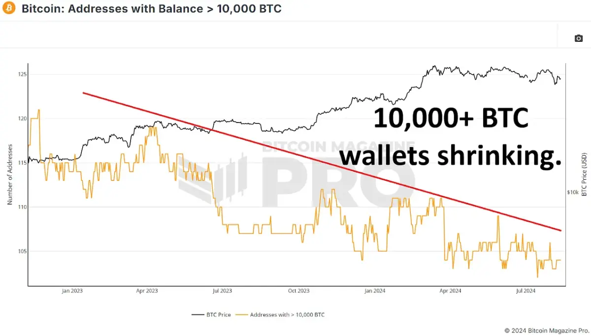  10,000+ BTC wallets have steadily declined since the bear cycle lows and have not seen sustained buying since. Access Live Chart 🔍