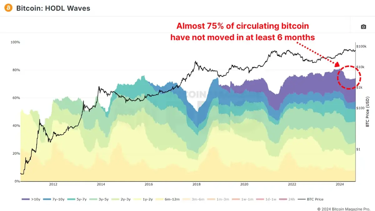 Figure 4: Bitcoin HODL waves outlining the illiquidity of BTC. Access Live Chart 🔍