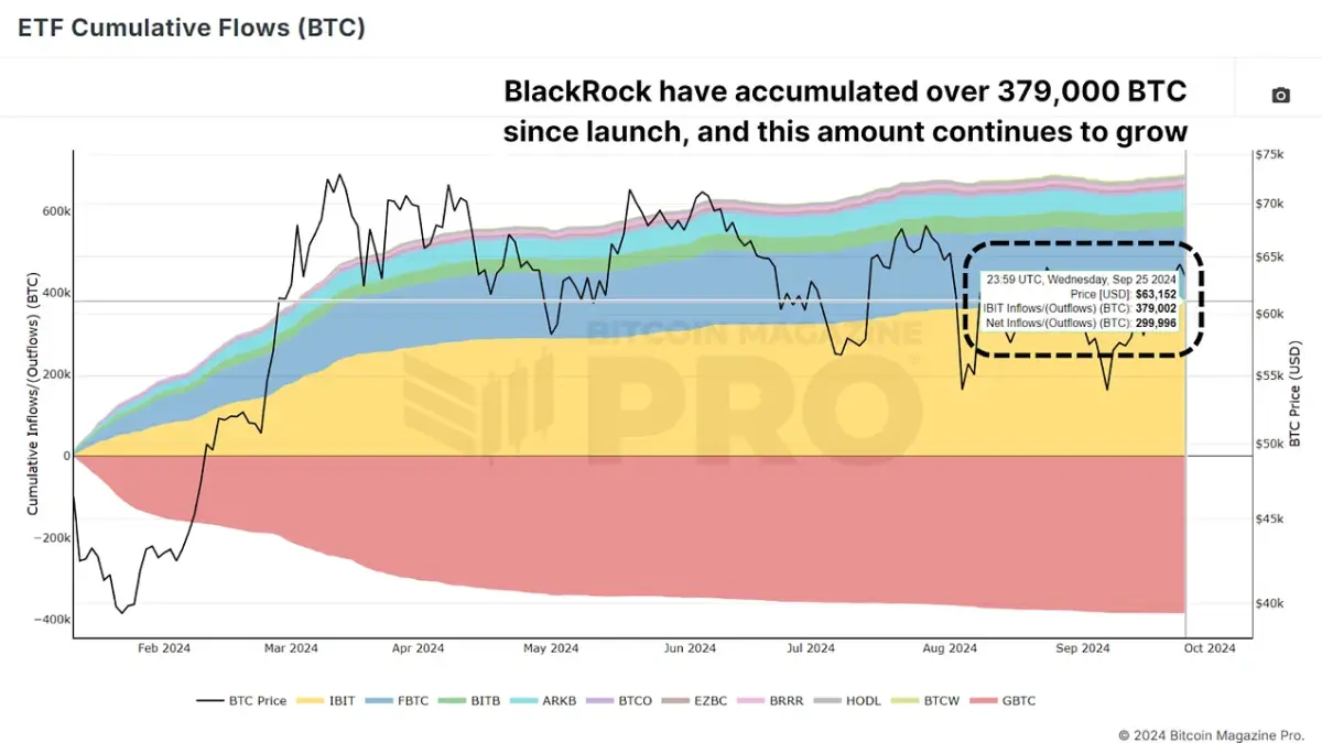 图 5：仅 BlackRock 在短短几个月内就积累了超过 379,000 BTC。查看实时图表🔍